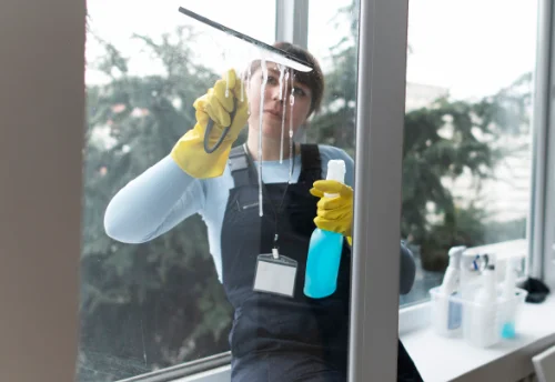 Nettoyage de vitres intérieures et extérieures à Saint-Laurent-de-Jourdes